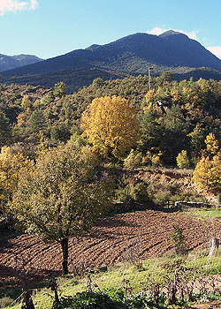 Cooperaci&oacute;n