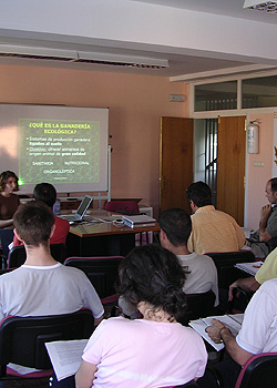 Formaci&oacute;n