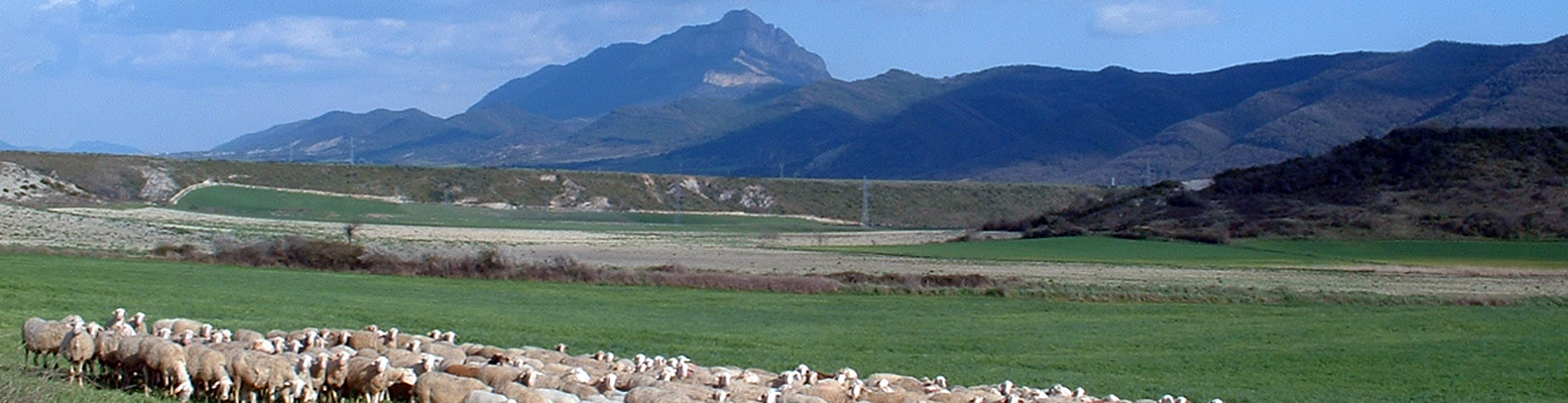 Asociación para el desarrollo integral de la Cuna de Aragón La Jacetania y Alto Gállego