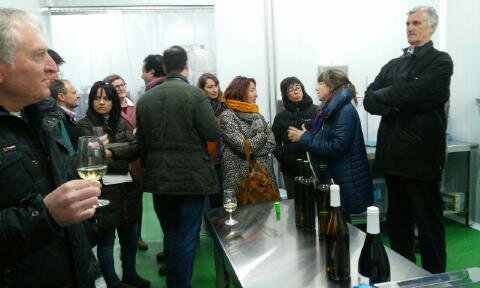 BODEGAS BAL MINUTA