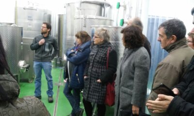 BODEGAS BAL MINUTA