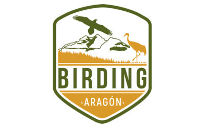 El proyecto de Turismo Ornitológico Birding Aragón alza el vuelo
