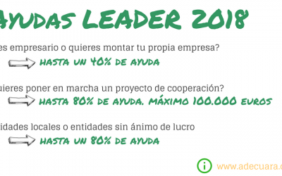 Solicitud de ayudas Leader 2018