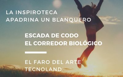 Ocho iniciativas juveniles pasan la segunda fase de Made in Rural