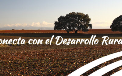 Curso on-line de EMPRENDIMIENTO EN EL MEDIO RURAL, inicio el 18 de mayo de 2020