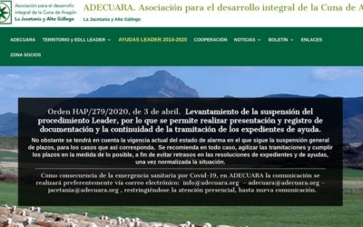 Levantamiento de la suspensión del procedimiento Leader