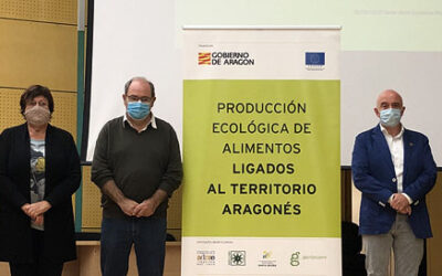Potenciar la comercialización del melón de Torres de Berrellén