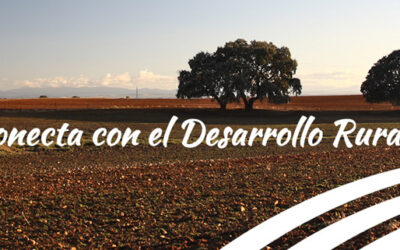 Tercera edición del «Curso online sobre Emprendimiento en el medio rural”, de la Red Rural Nacional