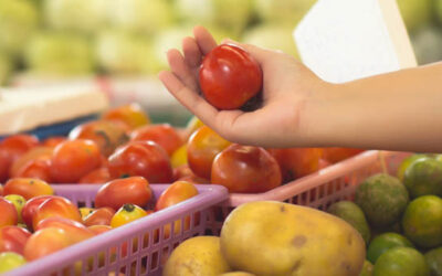Anuncio de las bases reguladoras de las subvenciones para el fomento y promoción de la venta local de productos agroalimentarios en Aragón