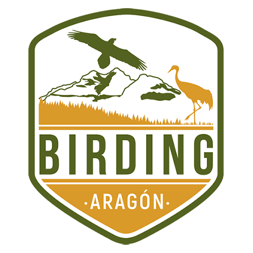 BIRDING ARAGÓN es un proyecto de cooperación entre los grupos de acción local aragoneses, la Asociación de empresarios de Ecoturismo y Turismo ornitológico de Aragón (APATOE) y Turismo de Aragón, coordinado por el grupo ADRI JILOCA GALLOCANTA. El objetivo que se persigue es promover la ornitología como recurso turístico sostenible y medioambiental en toda la comunidad. Aragón es una tierra afortunada, se caracteriza por poseer una variada avifauna, en consonancia con la riqueza de hábitats de su territorio.