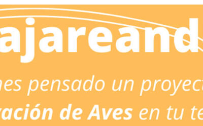 BIRDING ARAGÓN LANZA “PAJAREANDO” Y “CIENTO VOLANDO” PARA APOYAR A PROYECTOS AMBIENTALES SOBRE ORNITOLOGÍA