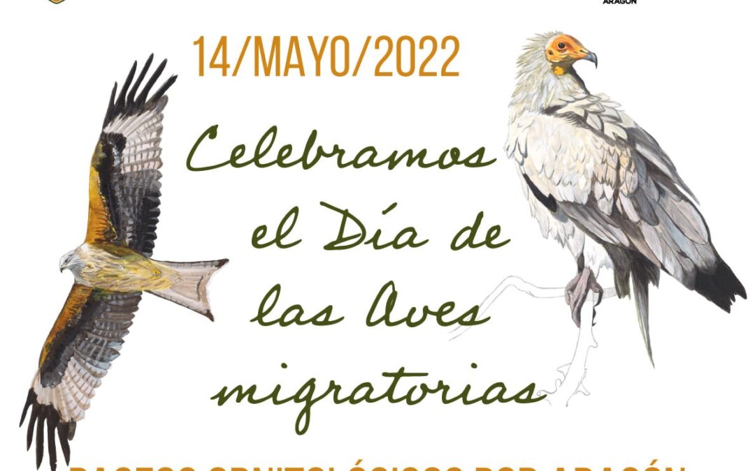 Día mundial de las Aves Migratorias 2022. Paseos ornitológicos por Aragón