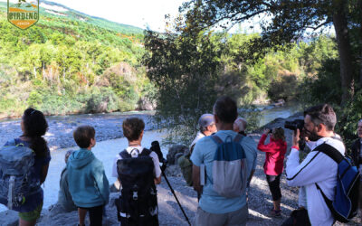 Fantástica ruta ornitológica por la ribera del río Gállego