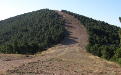 ADECUARA participa en un proyecto de mantenimiento de cortafuegos mediante siembra de especies herbáceas y pastoreo