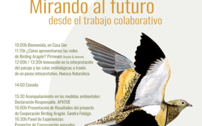 Encuentro Red Birding Aragón: Mirando al Futuro desde el trabajo colaborativo