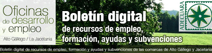 boletín recoge información en materia de ayudas y subvenciones, formación y empleo de las Comarcas de La Jacetania y Alto Gállego.