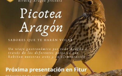 Picotea Aragón, nueva ruta gastronómica de Birding Aragón