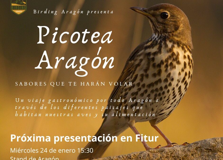 Picotea Aragón, nueva ruta gastronómica de Birding Aragón