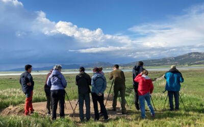 Birding Aragón organiza sus I Jornadas de Ecoturismo en Gallocanta