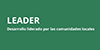 Leader