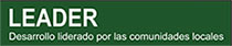 Leader