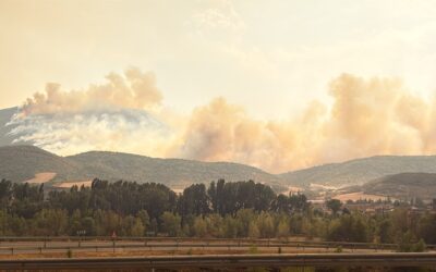 La Red Aragonesa de Desarrollo Rural exige ayudas urgentes para los emprendedores afectados por los incendios forestales